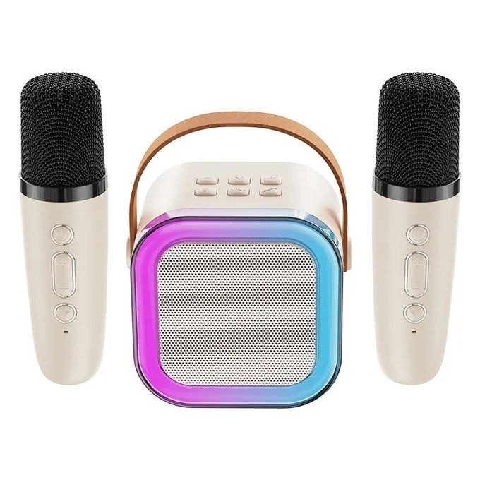 Mini haut-parleur de karaoké portable pour l'extérieur, avec 2x micro sans fil